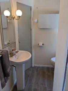 雷克瑟姆Ferny Roost Cabin.的白色的浴室设有水槽和卫生间。