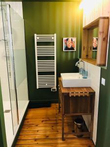 波尔多Maison d'hôtes Alma的绿色浴室设有水槽和淋浴