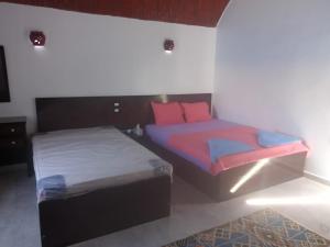 阿斯旺Kafana Guest House Nile View的配有两张床垫的客房内的两张床