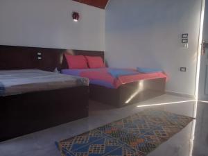 阿斯旺Kafana Guest House Nile View的一间卧室配有两张床,并铺有地毯。