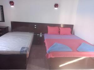 阿斯旺Kafana Guest House Nile View的配有两张粉红色和蓝色枕头的床铺