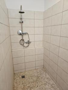 格里兹鲍Carpe Diem的一间带淋浴的浴室和瓷砖墙
