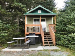 海恩斯Cabin 3 Lynn View Lodge的一座小房子,设有甲板和烧烤架