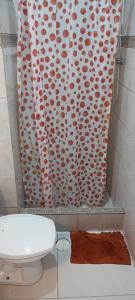 圣若泽杜斯坎普斯Morada BemTeVi Guest House的一间带卫生间和淋浴帘的浴室