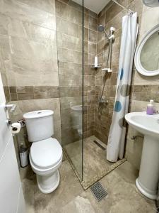 佩奇Stone Bridge Hotel的浴室配有卫生间、淋浴和盥洗盆。