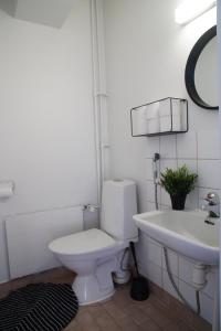 奥卢Oulu city center 4-room apartment Parking的一间带卫生间和水槽的浴室