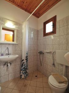 克里奥斯Vista Mare Skiathos的一间带卫生间和水槽的浴室