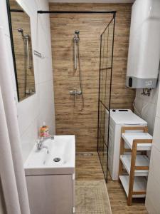 普鲁德尼克Apartament w Centrum的一间带水槽和淋浴的小浴室