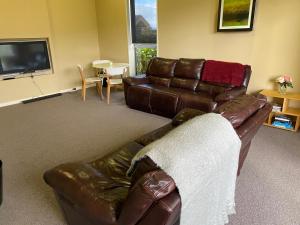 蒂阿瑙Luxury on Howden的客厅配有真皮沙发和电视