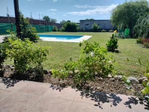 萨尔塔El Jazmín的一个带游泳池和一些植物的庭院