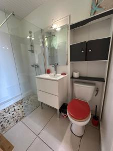 莱特鲁瓦西莱Les Gites Josiane的浴室配有卫生间、盥洗盆和淋浴。