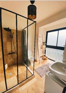 洛特河畔的维伦纽夫Maison chaleureuse的带淋浴和卫生间的浴室