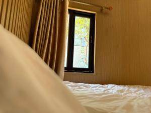 波来古市Pleiku Homestay的一间卧室设有一张床和一个窗口