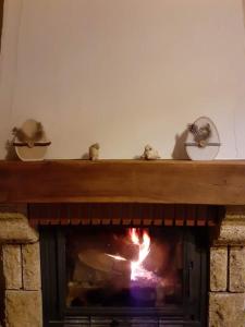 FraizeLe Gîte du Cheval Blanc的砖砌壁炉,壁炉里放着火