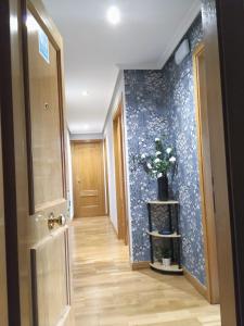 奥维多Apartamento en OVIEDO,WIFI的带有花瓶的蓝色墙壁的走廊