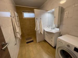 希欧福克Grátisz Apartman Siófok的一间带水槽和洗衣机的浴室