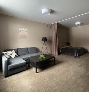 克莱佩达Vėtrungės Apartamentai的客厅配有沙发和1张床