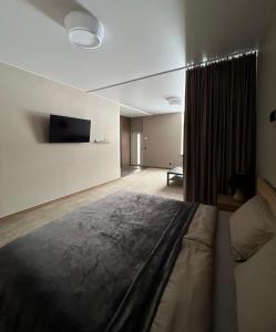 克莱佩达Vėtrungės Apartamentai的一间卧室配有一张大床和一台平面电视