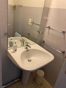 布鲁塞尔Katty apartment的浴室设有白色水槽和镜子