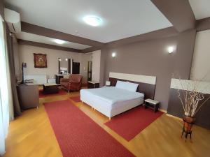 斯科普里普瑞米尔酒店的卧室配有白色的床和红色地毯。