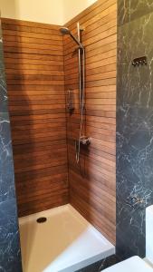 莱斯科Dzikie Lisko - Apartament z klimatyzacją的带淋浴的浴室和木墙