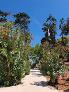 奥特朗托Baia Dei Micenei的人行道上种满鲜花和旗帜的花园
