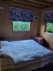 ÑilqueCabañas rio ñilque的一间卧室设有一张床和两个窗户。