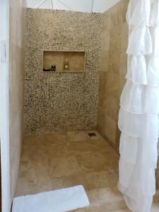 图卢姆Chiibal的一间带淋浴的浴室和瓷砖墙
