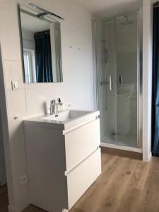 阿布维尔Maison Gabriel Appartement BULLE的白色的浴室设有水槽和淋浴。