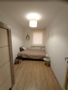 格涅兹诺Apartament Juliusz的一间卧室配有一张床,铺有木地板