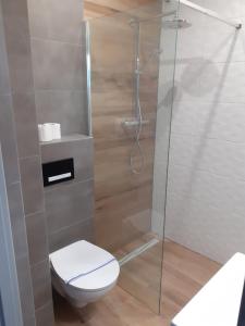 乌斯特卡Villa EDEN USTKA的一间带卫生间和玻璃淋浴间的浴室