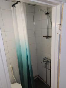 波里Varvinkatu apartment的带淋浴帘和卫生间的浴室