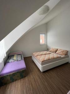 什平德莱鲁夫姆林Apartmán Bedřichov, Špindlerův mlýn的一间卧室配有一张大床和一张紫色床垫。