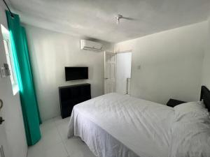 安东尼奥港泻湖公寓的卧室配有白色的床和电视。