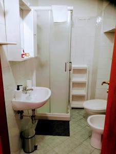 佛罗伦萨Apartement NICKY的一间带水槽和卫生间的浴室