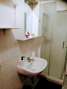 佛罗伦萨Apartement NICKY的一间带水槽和淋浴的浴室