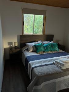 帕尼马维达Hostería Estelita的一间卧室配有一张带绿色枕头的床和一扇窗户
