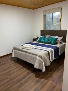帕尼马维达Hostería Estelita的一间卧室配有一张带绿色枕头的大床