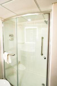 诺克斯维尔诺克斯维尔北I75州际公路12号出口智选假日酒店的带淋浴的浴室(带玻璃淋浴间)