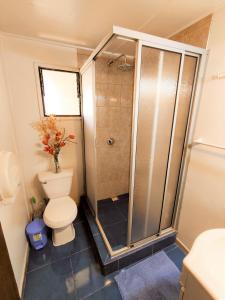 AngolHOSPEDAJE CENTRO ANGOL的一间带卫生间和淋浴的小浴室