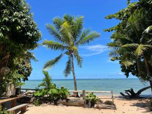 莫雷雷Quarto em frente à praia de Moreré的海滩上的棕榈树与大海