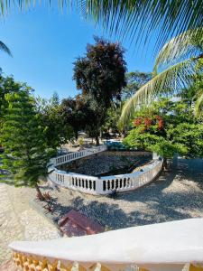 博卡奇卡Villa Marcia的一座公园,里面设有一座树木和棕榈树的喷泉