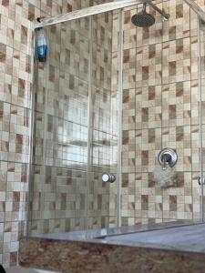 索韦托Orlando Manor的浴室里设有玻璃门淋浴