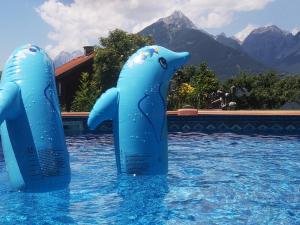 GallzeinFerienhaus Maria´s Hoamatl的两个蓝色海豚在泳池里
