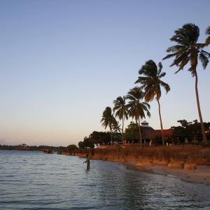 姆特瓦拉Southern Cross Hotel Mtwara的海滩上一团棕榈树,