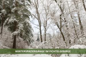 瓦门施泰纳赫Die Fichtelsuite 1-6 Pers Ferienwohnung nahe Ochsenkopf Süd 800m in Fleckl的雪覆盖的林地,树木覆盖,词组在修复中最冬的差异