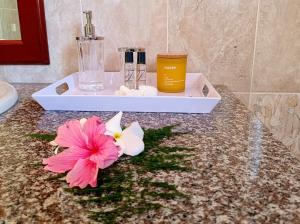 拉迪格岛Badamier Self-Catering的浴室设有两朵花的台面