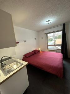 帕雷·勒·毛尼尔Les Logis de Paray Appartement n1的一间卧室配有一张带水槽和窗户的床