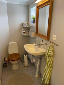 KristdalaCarina & Peters Place的一间带卫生间、水槽和镜子的浴室