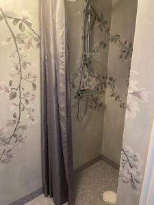 KristdalaCarina & Peters Place的带淋浴和浴帘的浴室